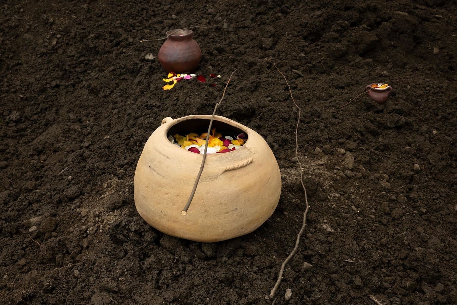 Several Eternities in a Day: Form in the Age of Living Materials