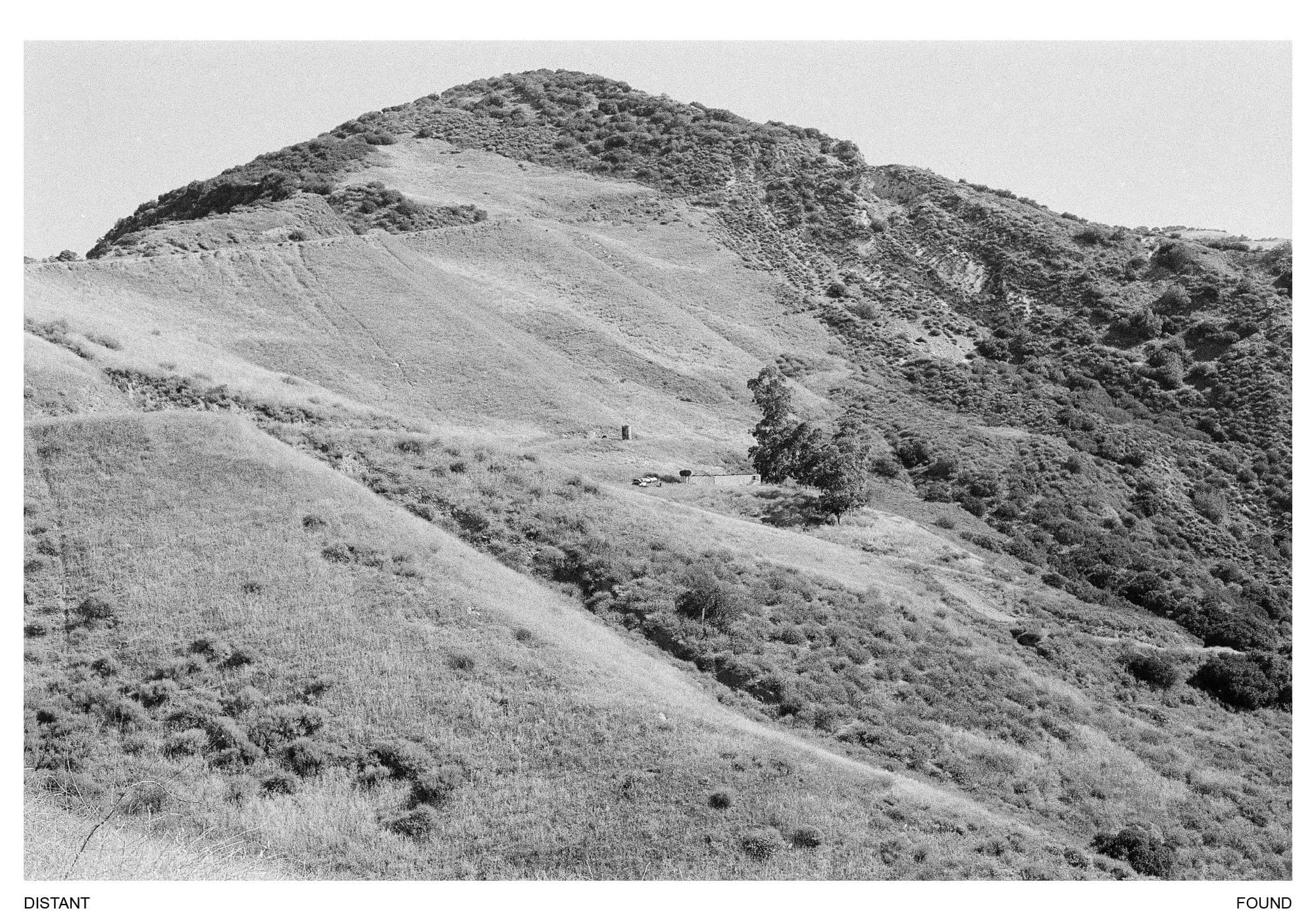 Speculative Artifacts