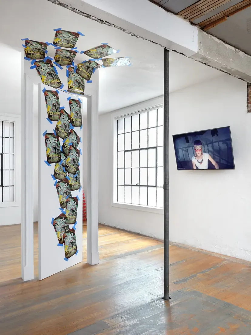 Installation view 5 of 5