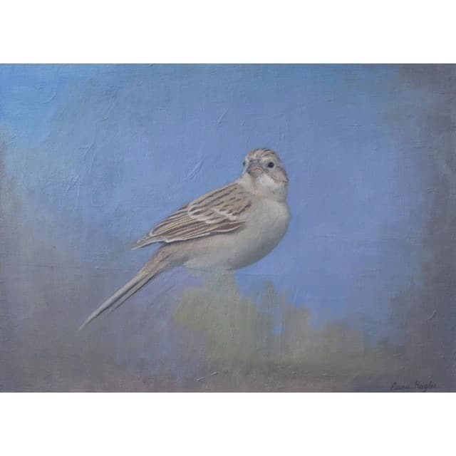 "A Closer Look" California Art League