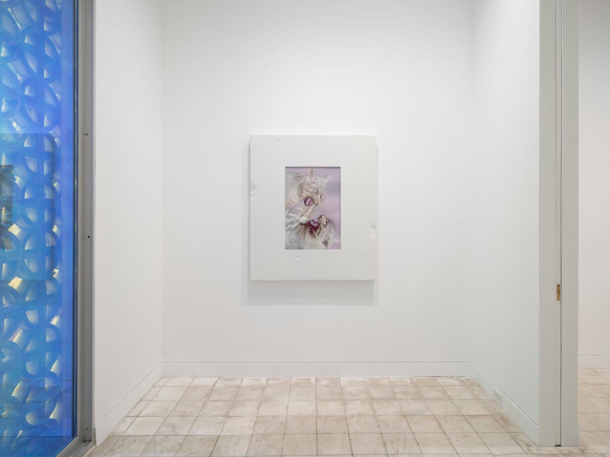 Installation view
