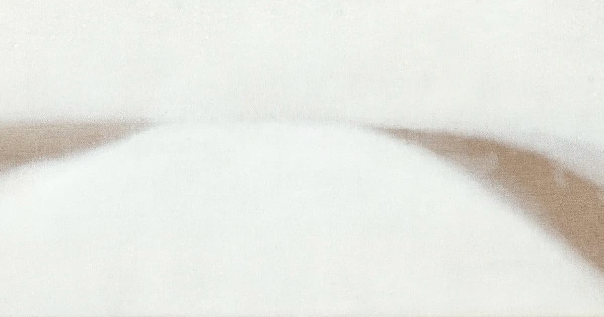 In Focus: Susan Vecsey