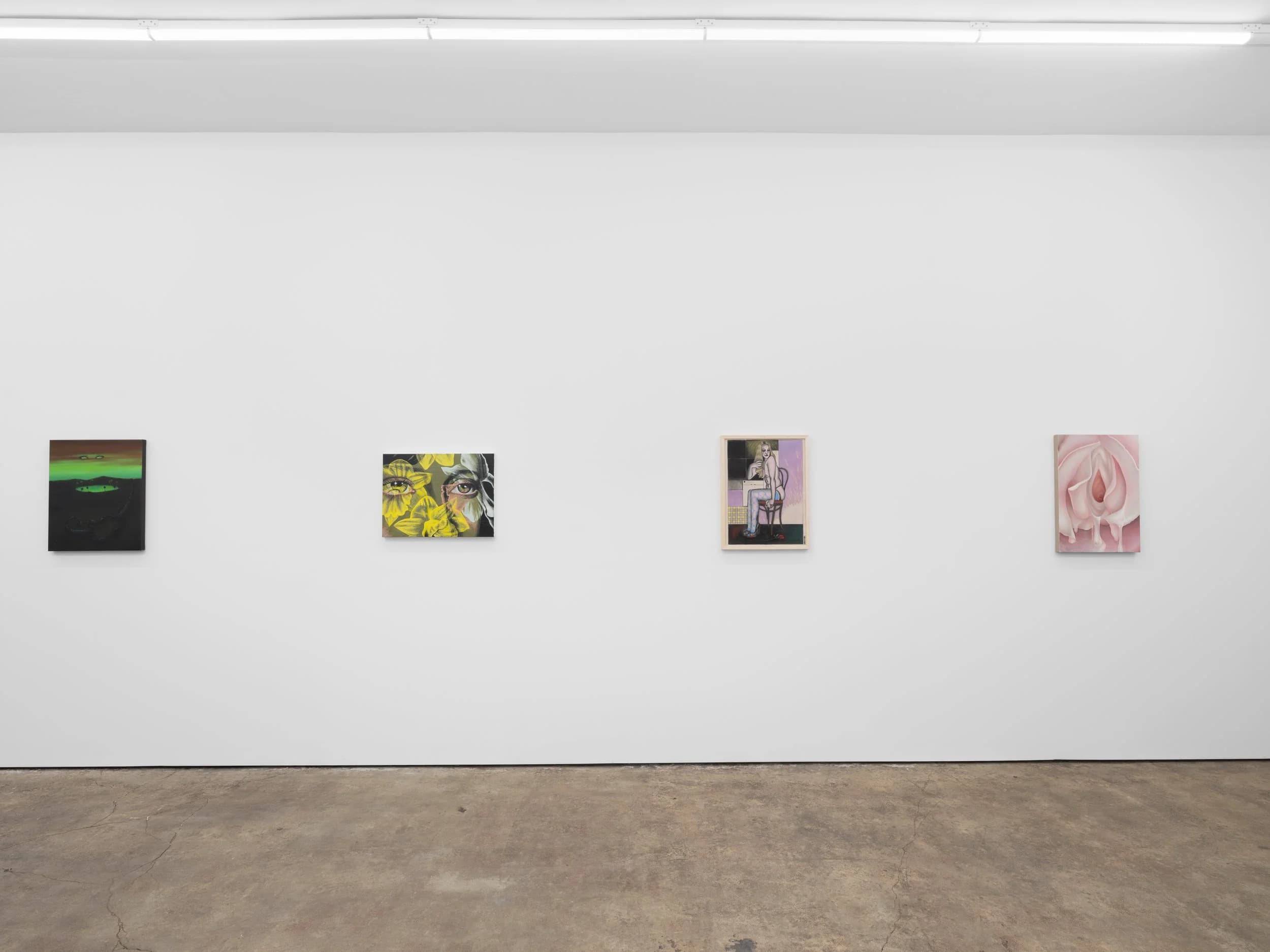 Installation view 2 of 6