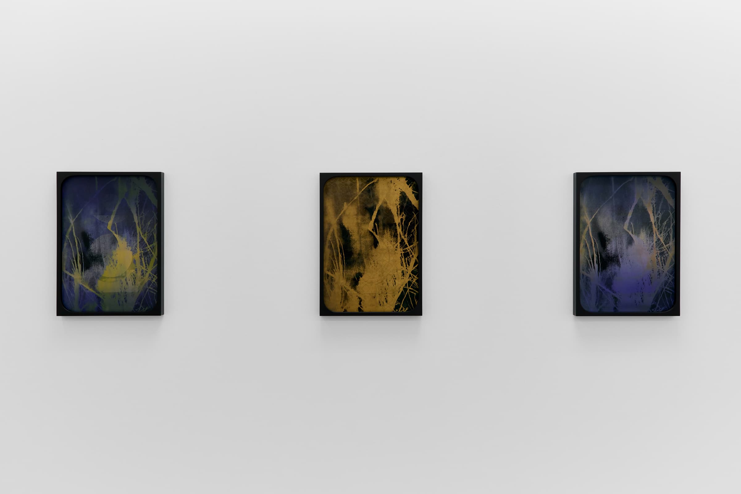 Sherin Guirguis, Into the Lake of Fire, installation view, Luis De Jesus Los Angeles, 2026