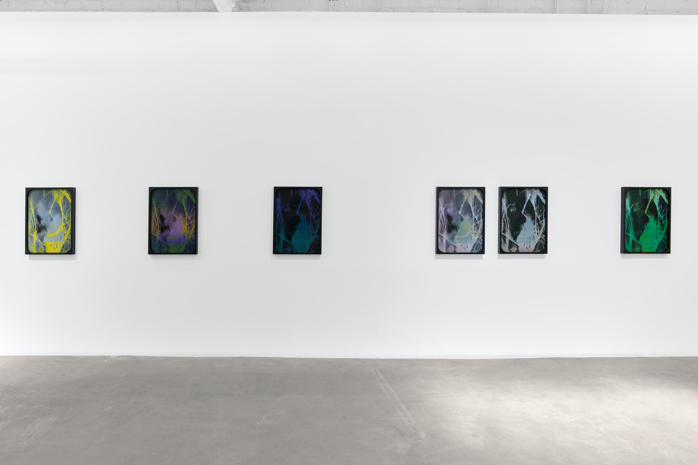 Sherin Guirguis, Into the Lake of Fire, installation view, Luis De Jesus Los Angeles, 2026