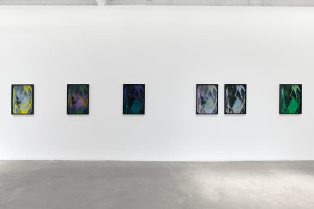 Sherin Guirguis, Into the Lake of Fire, installation view, Luis De Jesus Los Angeles, 2026