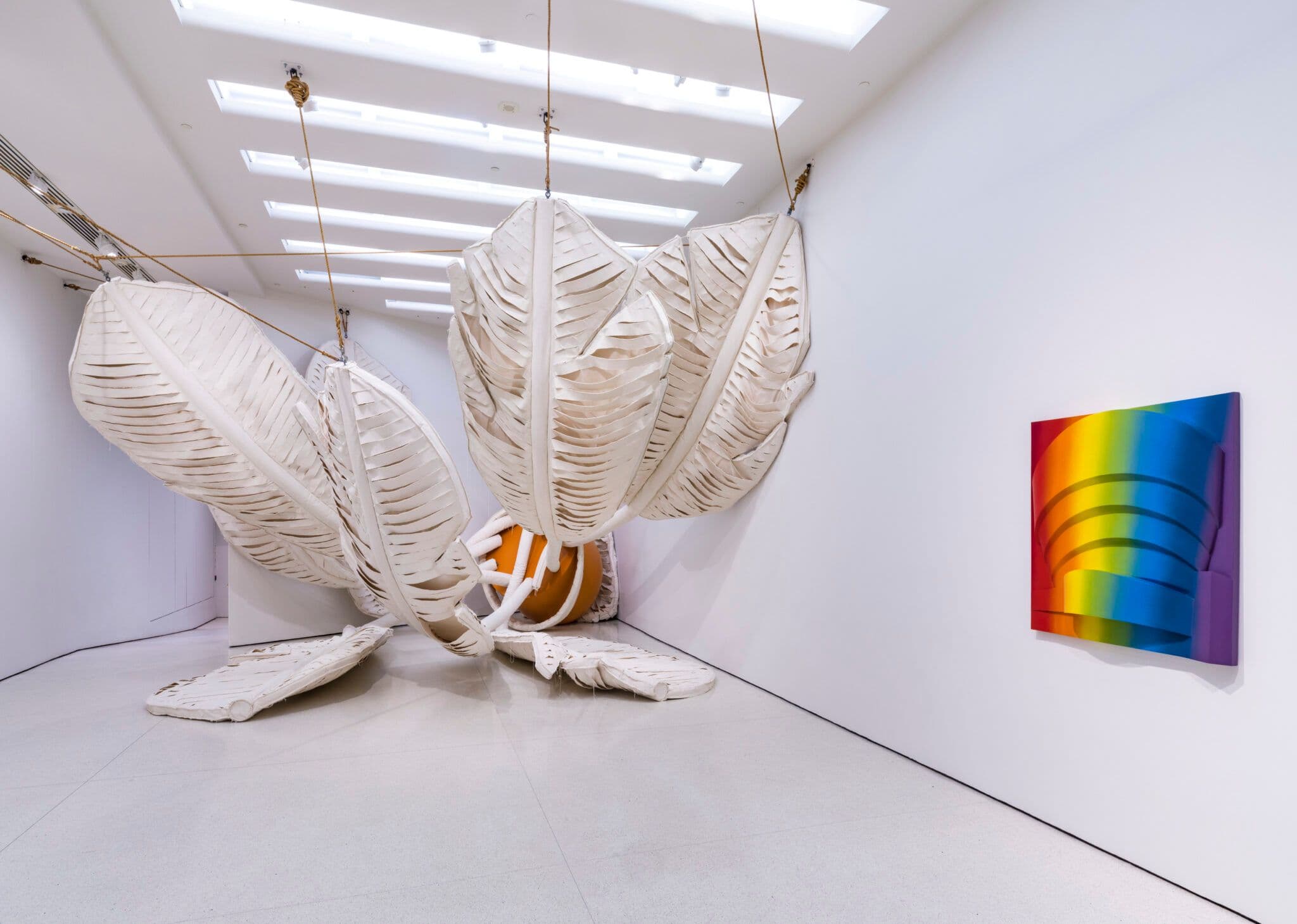 Installation view