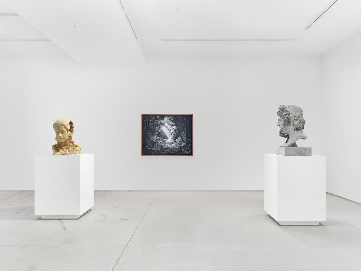 Installation view