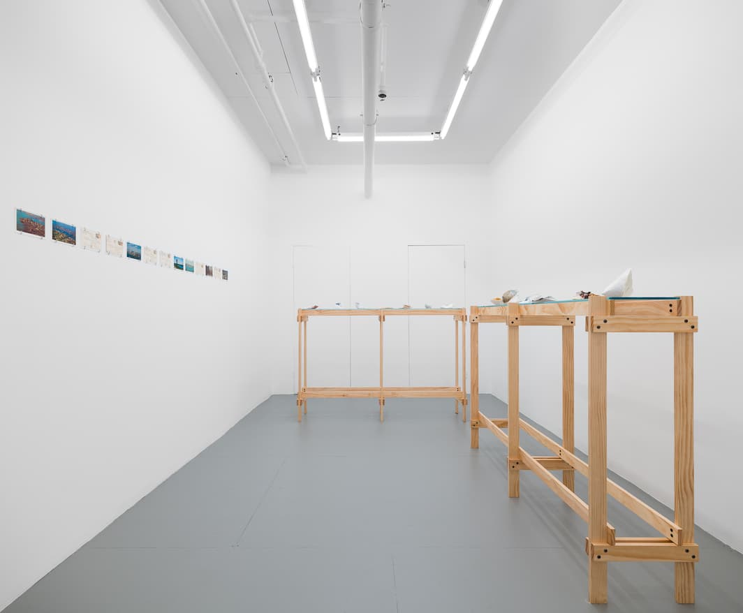 Efraín López Gallery