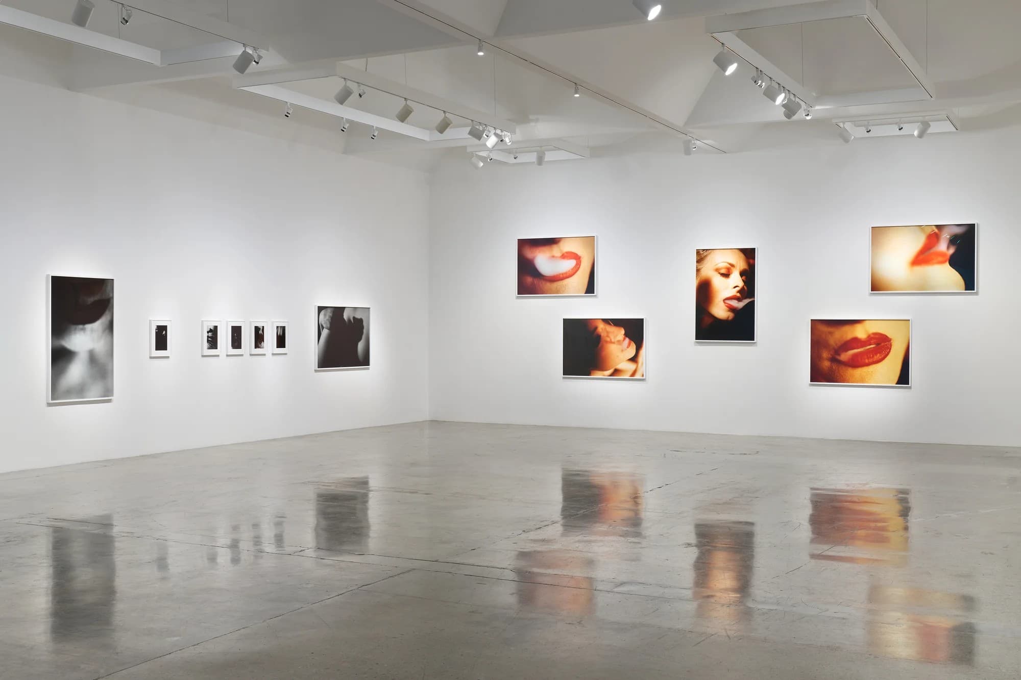 Installation view 2 of 3
