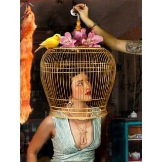 DREAMS IN MIGRATIONS