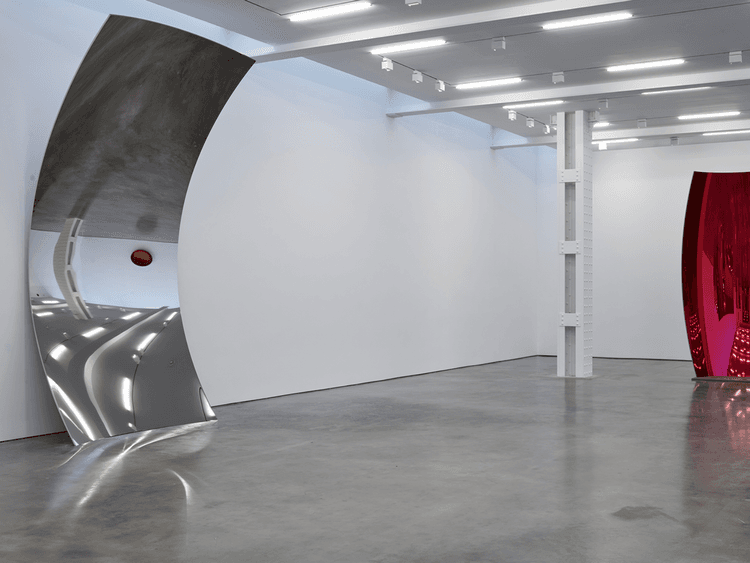 Anish Kapoor: Anish Kapoor