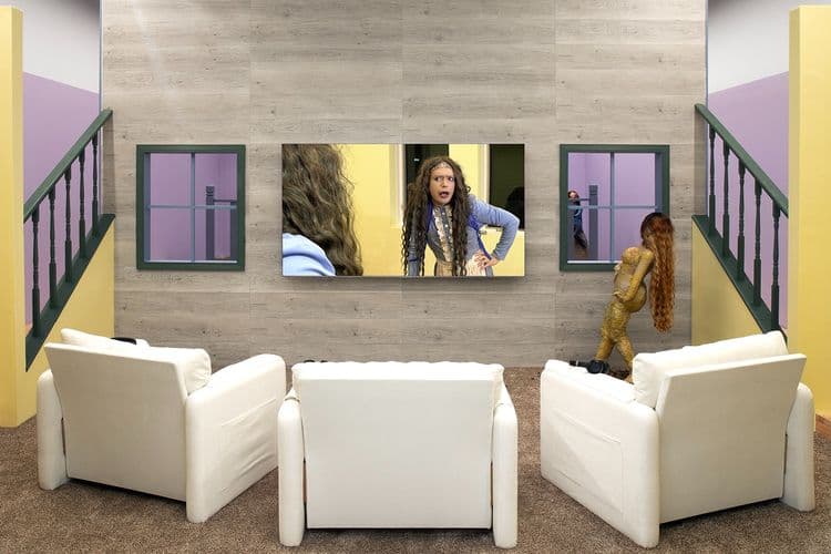 Lizzie Fitch, Ryan Trecartin: PLY WOULD