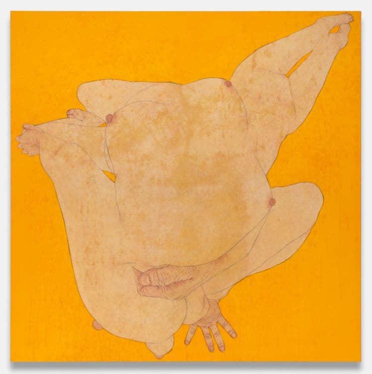 Suspended Landscapes