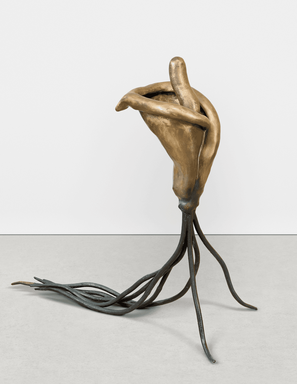 Ashwini Bhat: The Morning After The Fire Swept Through