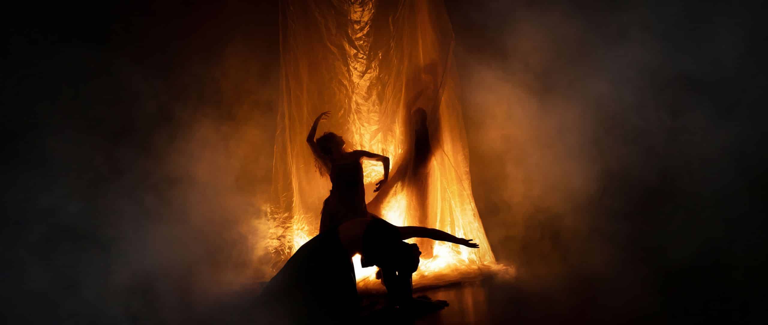 Iris Company: THE STILL POINT — An Immersive Experience