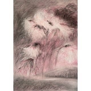 DREAMS IN MIGRATIONS