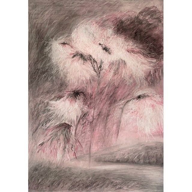 DREAMS IN MIGRATIONS