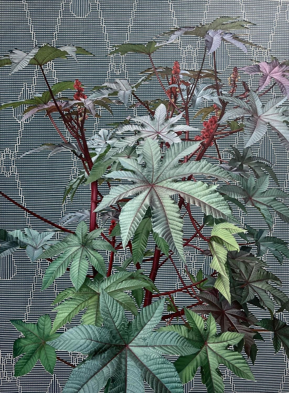 not never over nothing 