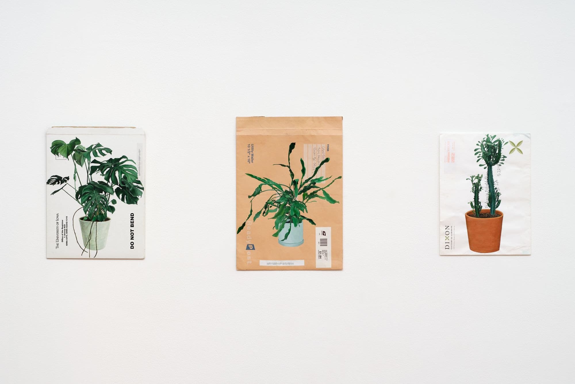 not never over nothing 