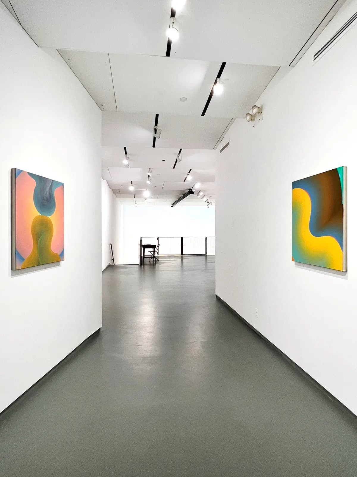 Installation view 4 of 9