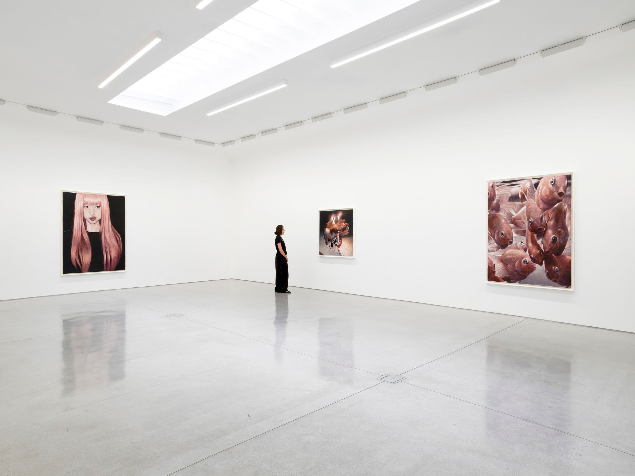 Installation view