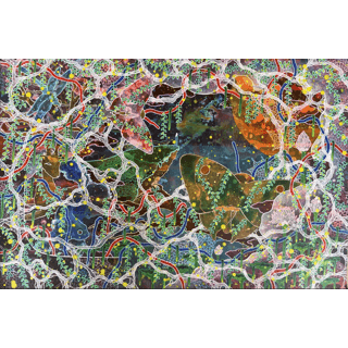 DREAMS IN MIGRATIONS