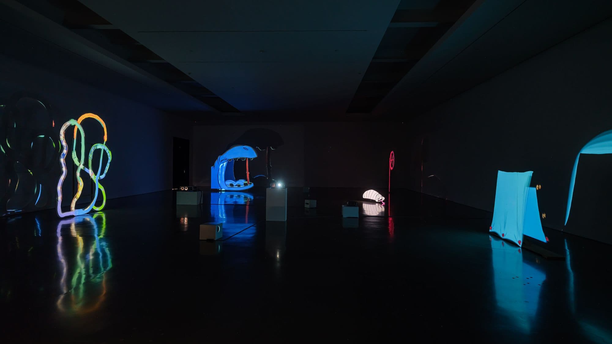 Installation view