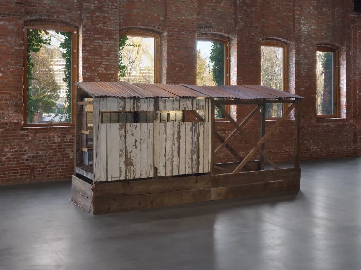 American Artist: Shaper of God: Apple Valley Autonomy