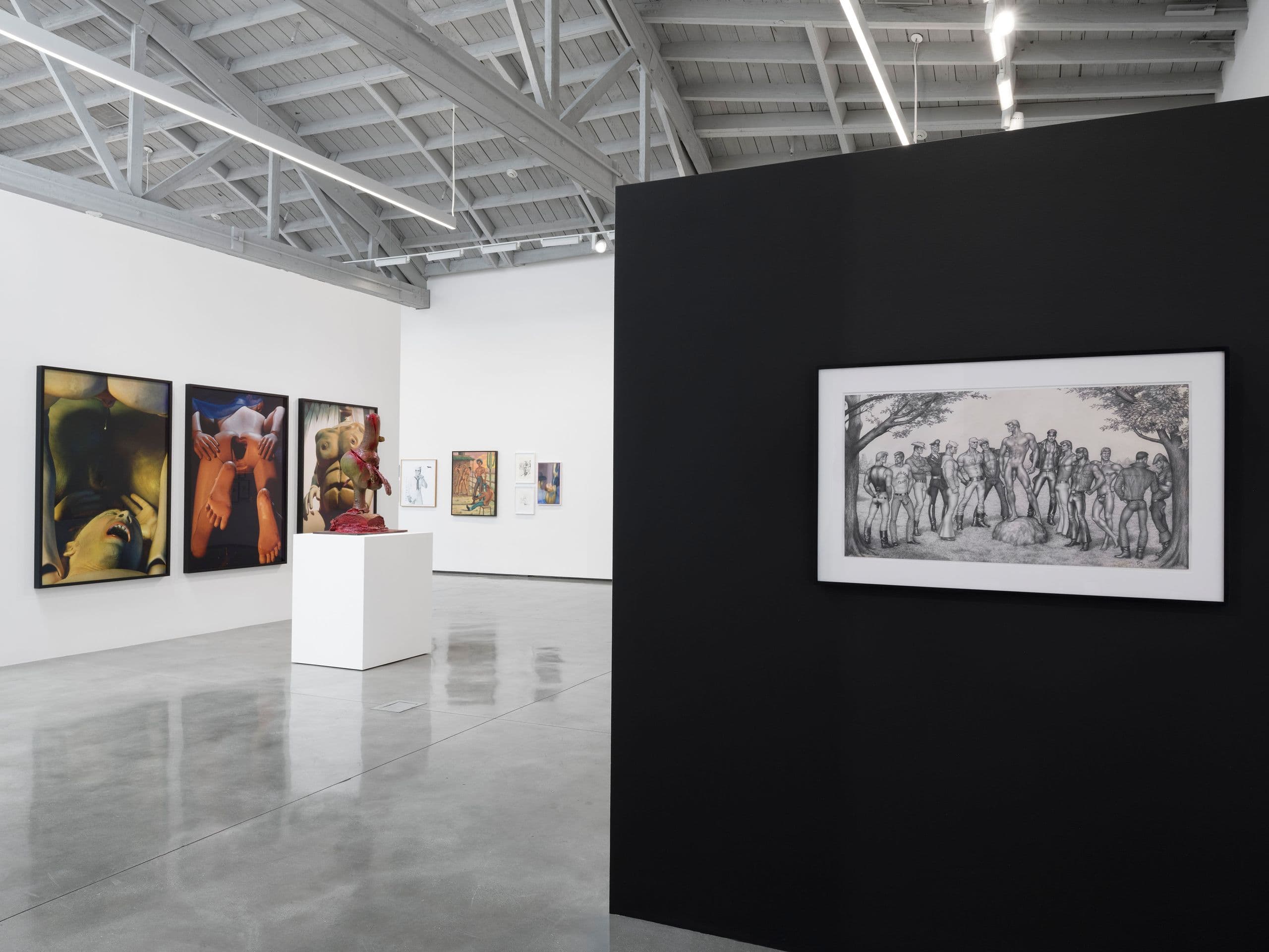 Installation view