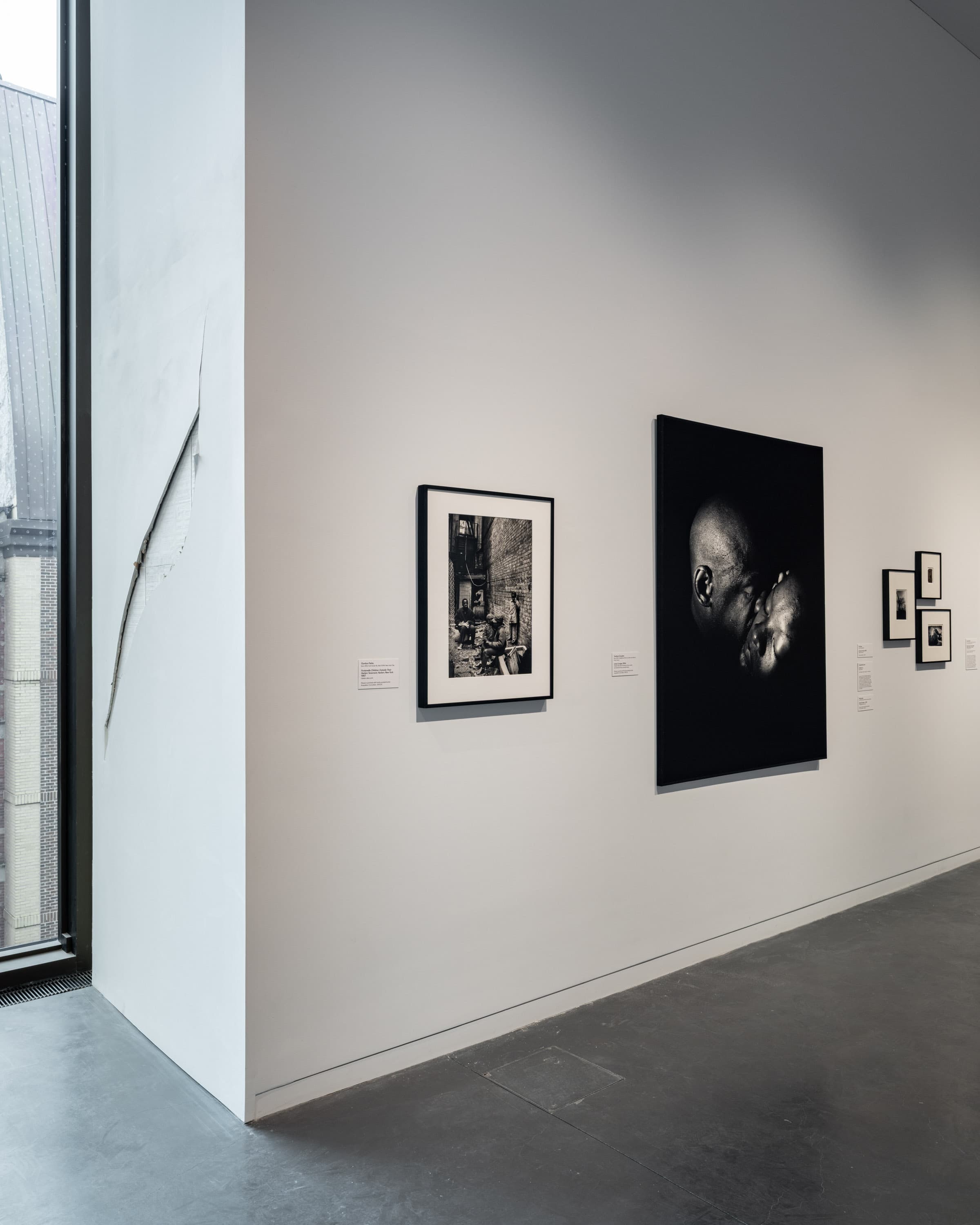 Installation view 5 of 5