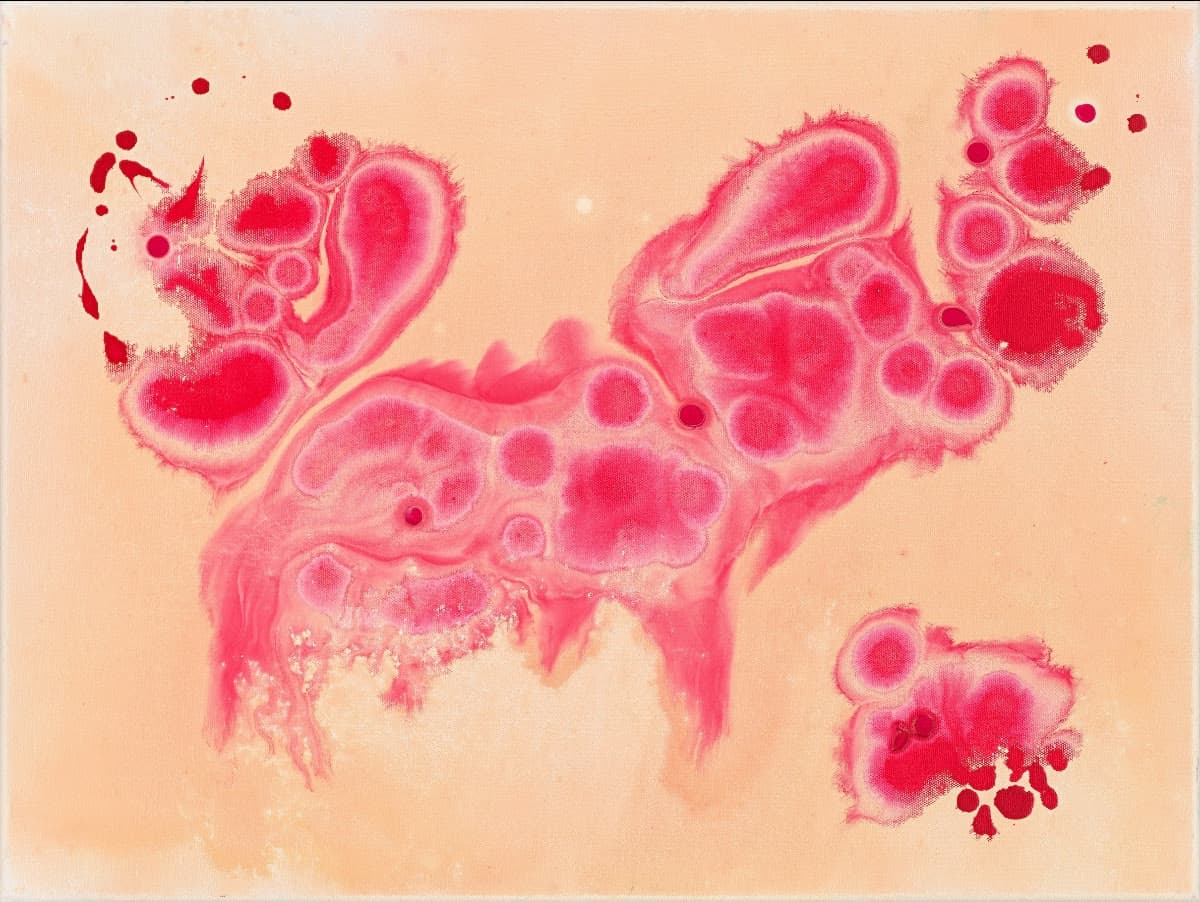 Where Possibility Dwells