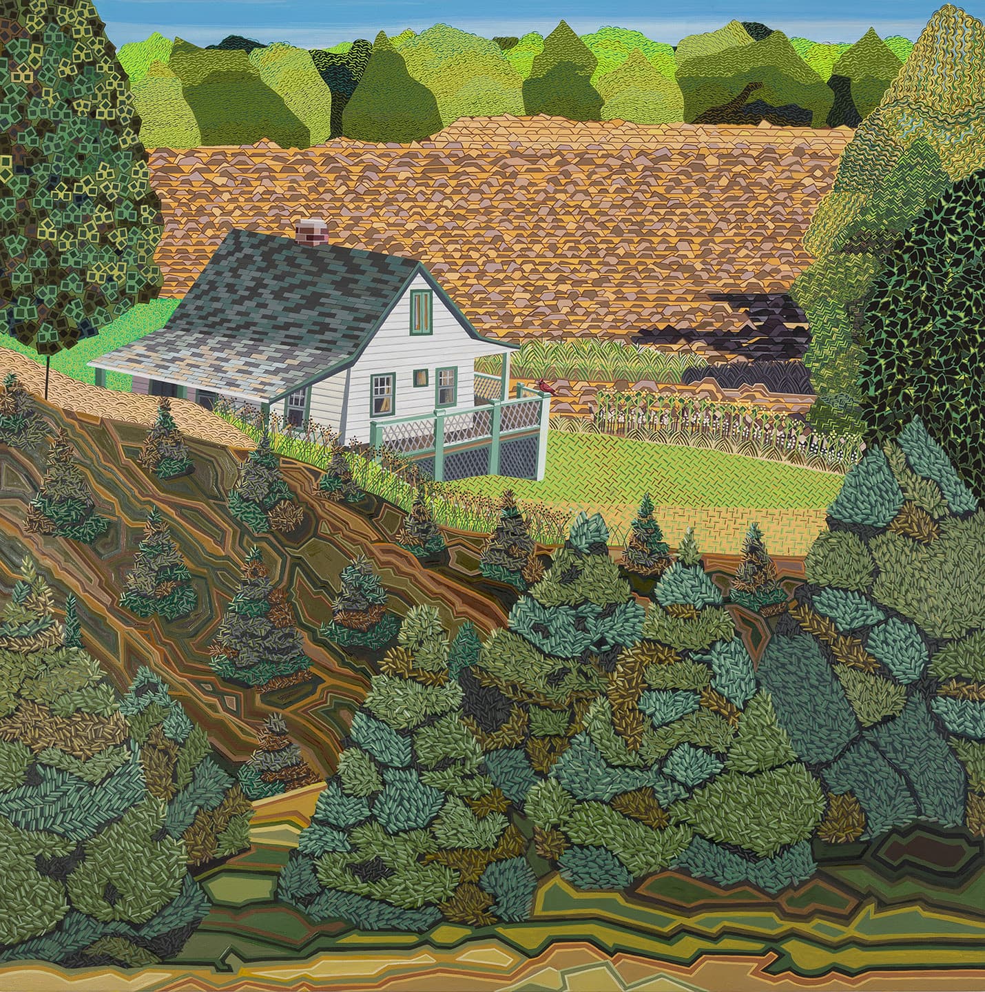 Ann Toebbe: Field and Stream of Consciousness