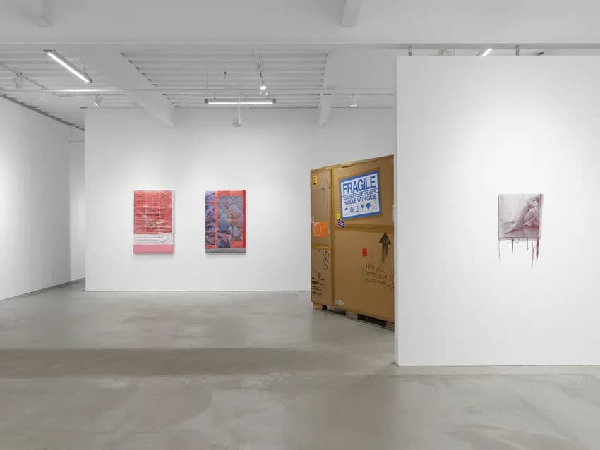 Installation view