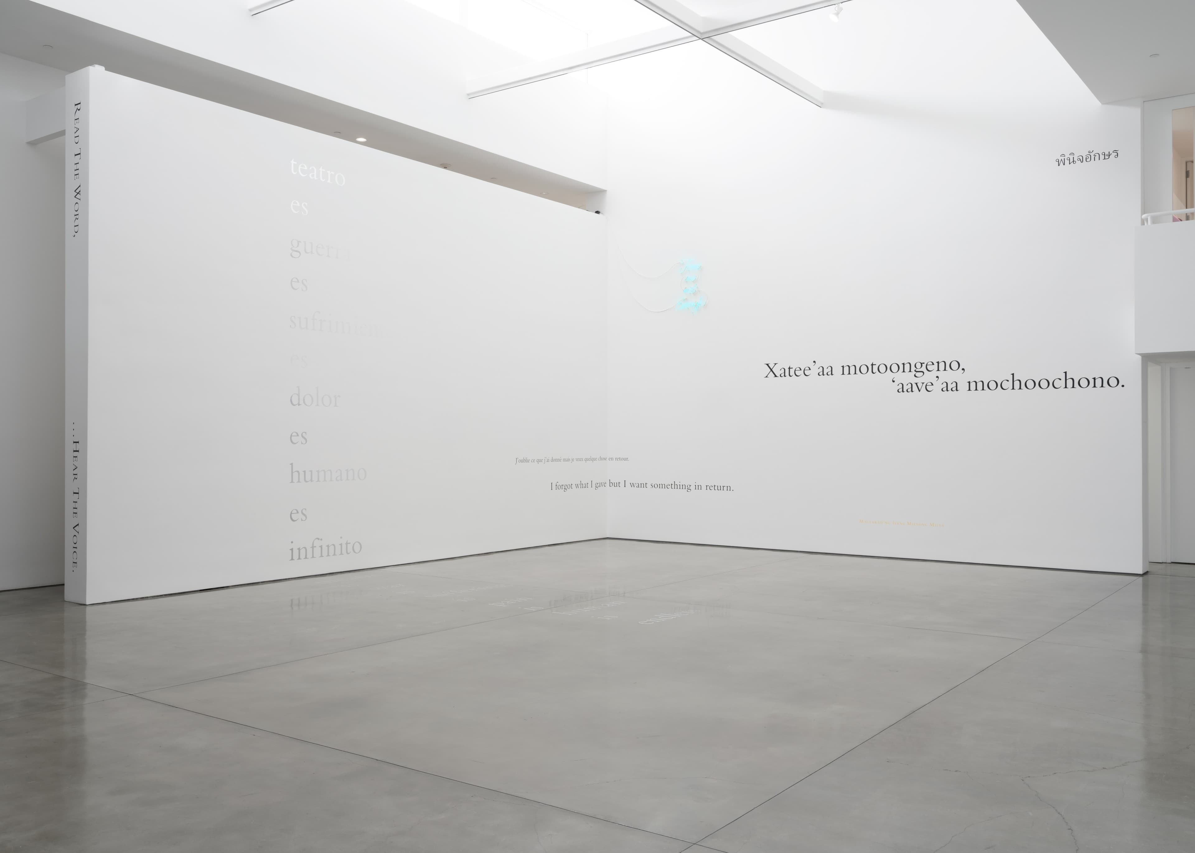 Installation view