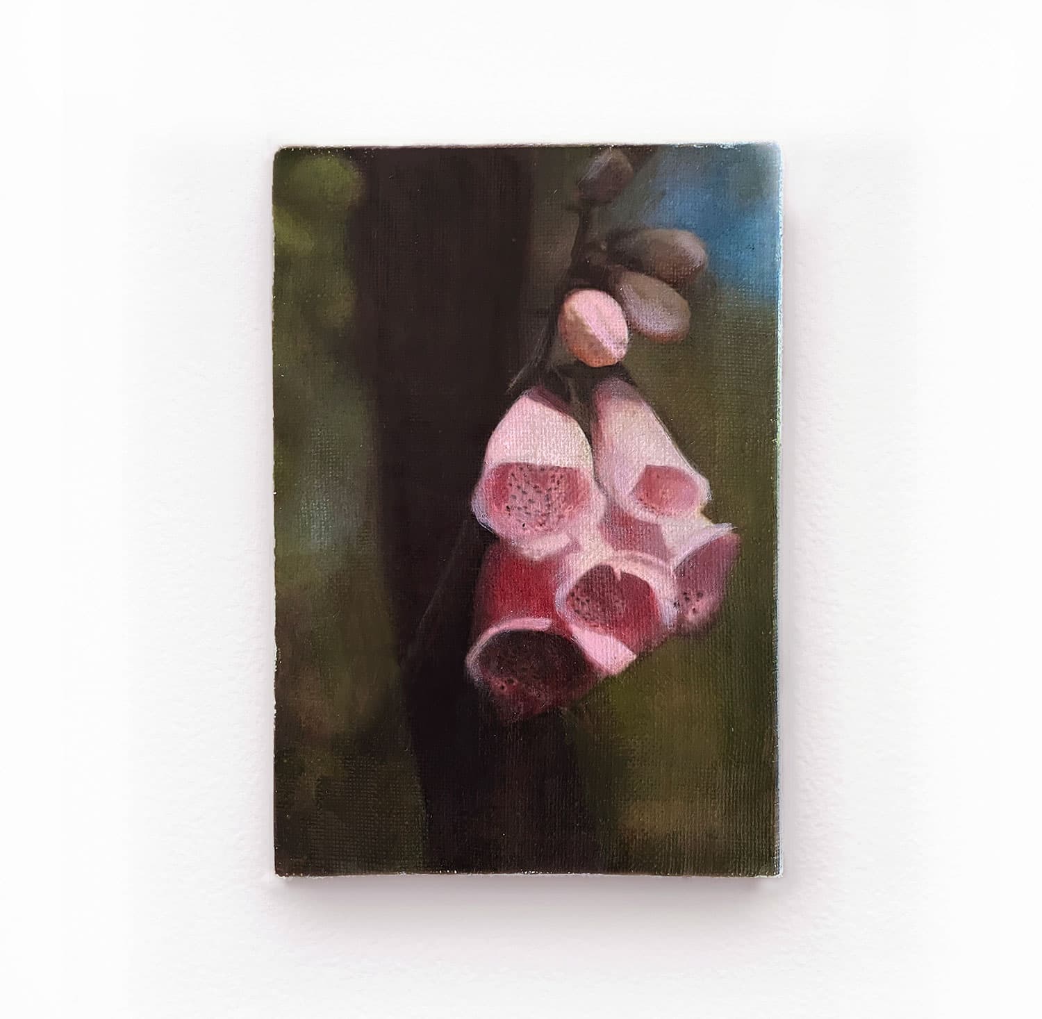 Joseph Jones: Natural language