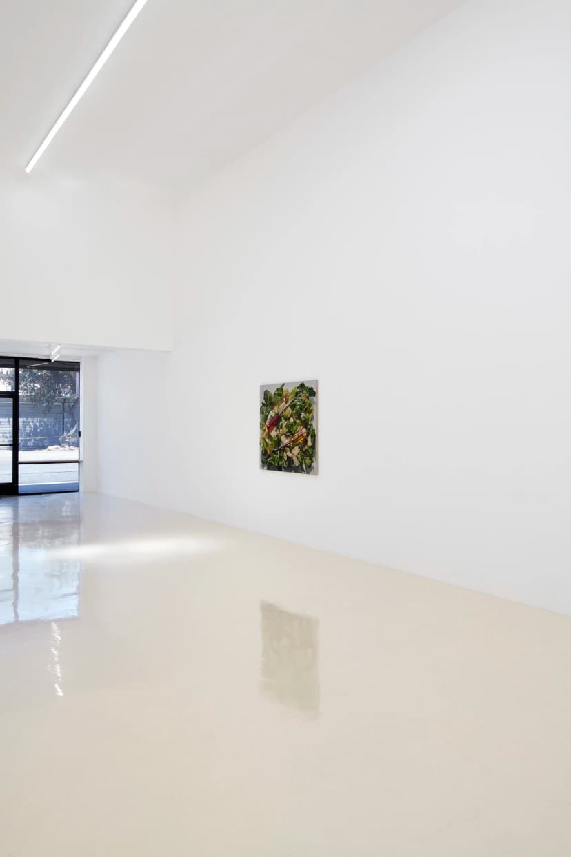 Installation view, Adam Higgins: Lollipop, Chris Sharp, Los Angeles, 2026