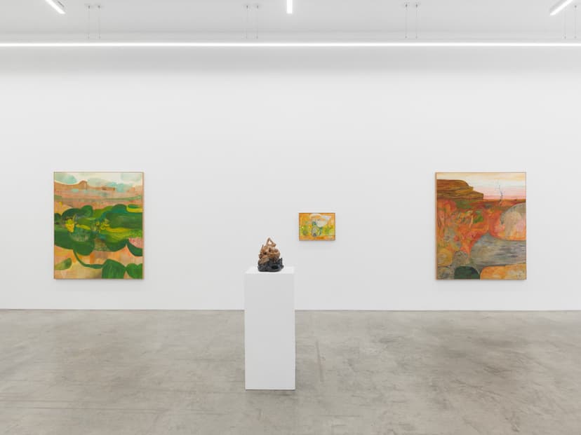 Installation view, Soumya Netrabile: Field Conditions, Anat Ebgi, New York, 2026