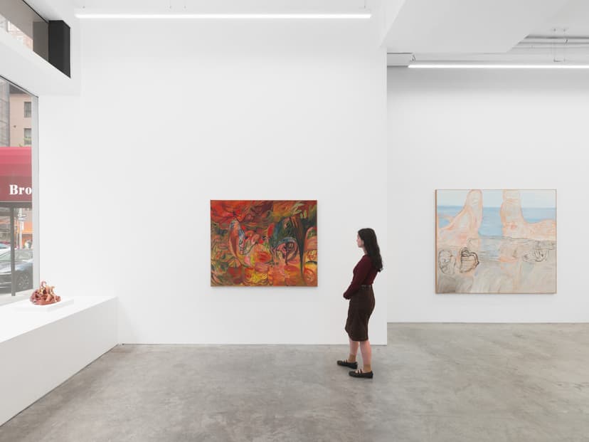 Installation view, Soumya Netrabile: Field Conditions, Anat Ebgi, New York, 2026