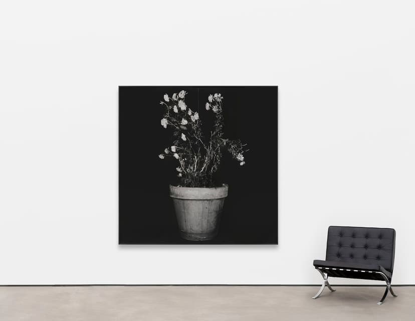 Installation view, John Baldessari: Sculptures, Sprüth Magers, Los Angeles, Los Angeles, 2026