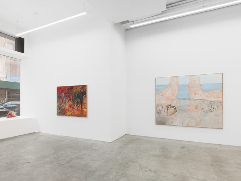 Installation view, Soumya Netrabile: Field Conditions, Anat Ebgi, New York, 2026