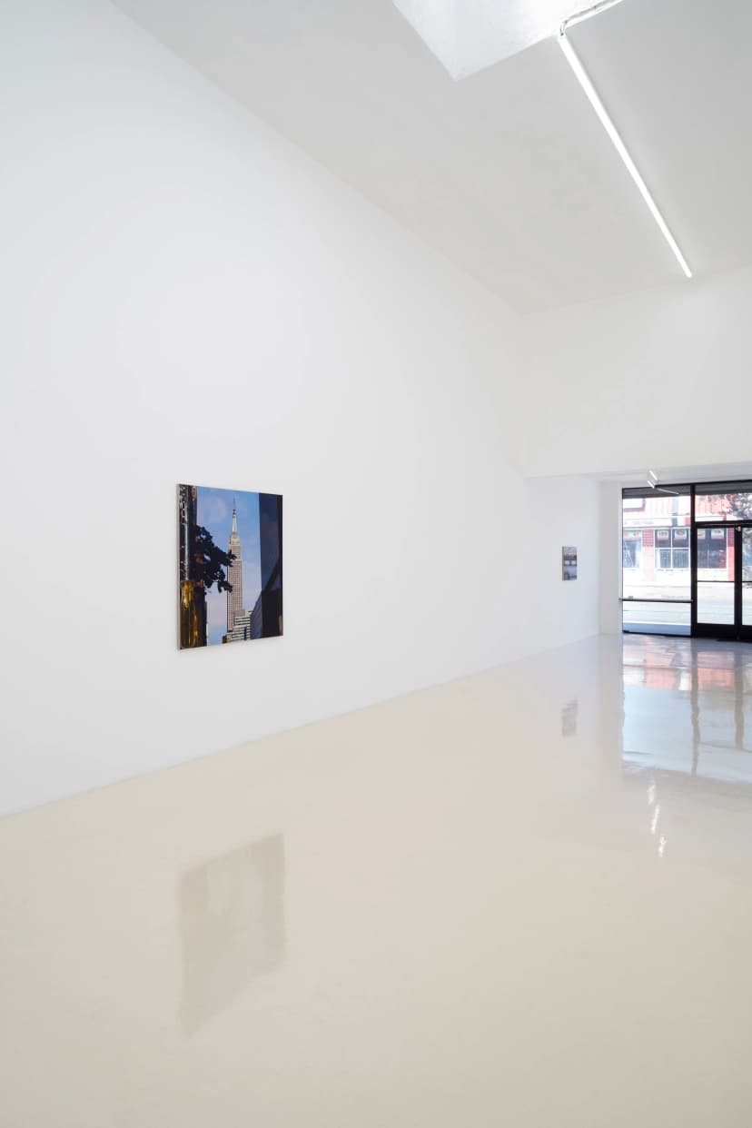 Installation view, Adam Higgins: Lollipop, Chris Sharp Gallery, 2026