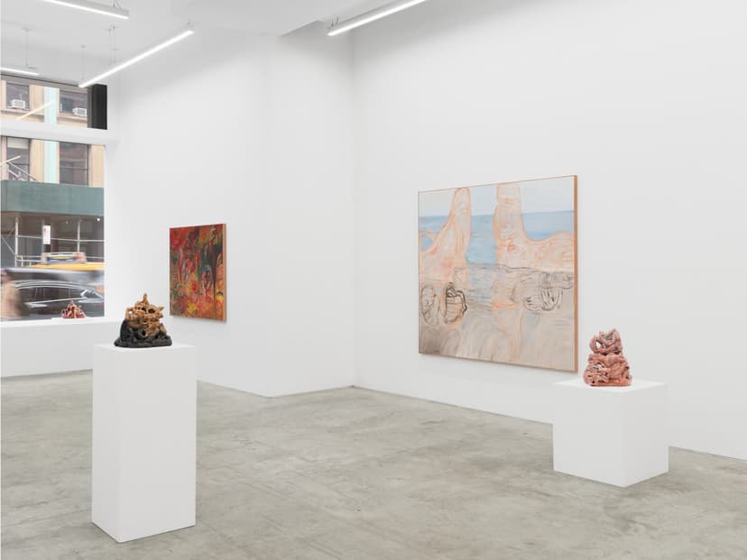 Installation view, Soumya Netrabile: Field Conditions, Anat Ebgi, New York, 2026