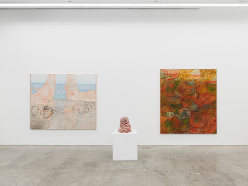 Installation view, Soumya Netrabile: Field Conditions, Anat Ebgi, New York, 2026