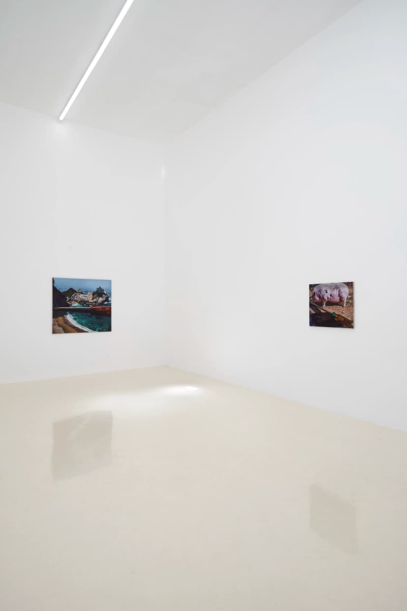 Installation view, Adam Higgins: Lollipop, Chris Sharp Gallery, 2026