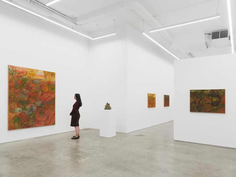 Installation view, Soumya Netrabile: Field Conditions, Anat Ebgi, New York, 2026