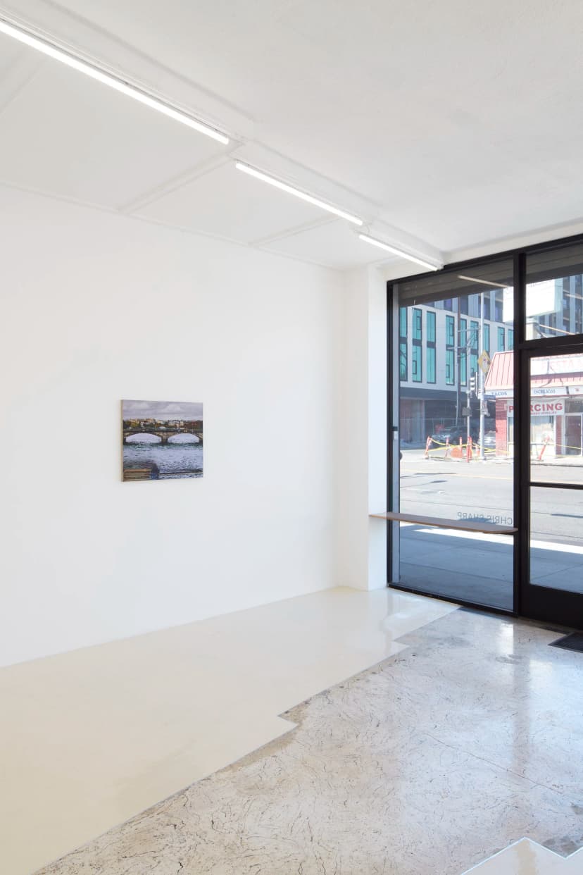 Installation view, Adam Higgins: Lollipop, Chris Sharp Gallery, 2026