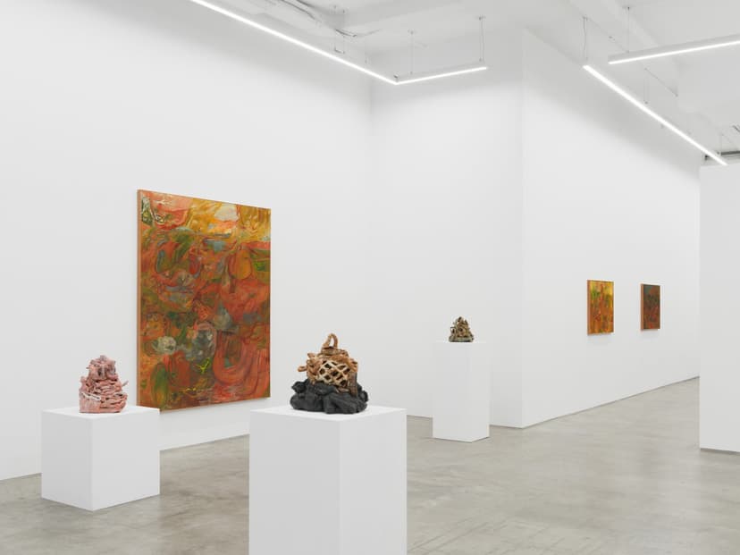 Installation view, Soumya Netrabile: Field Conditions, Anat Ebgi, New York, 2026