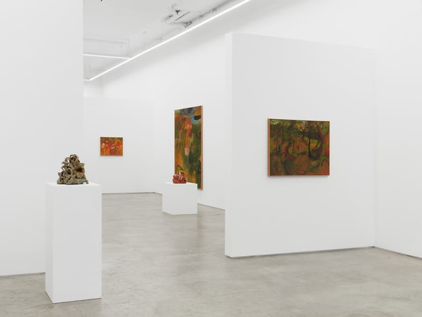 Installation view, Soumya Netrabile: Field Conditions, Anat Ebgi, New York, 2026