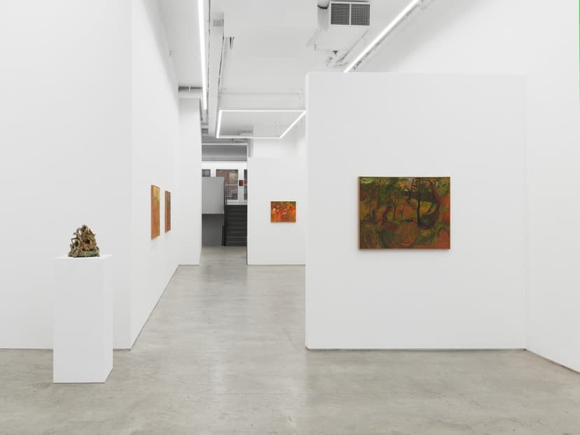 Installation view, Soumya Netrabile: Field Conditions, Anat Ebgi, New York, 2026
